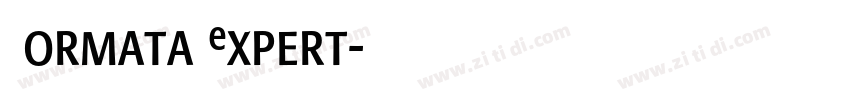 Formata Expert字体转换